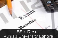 bsc-result-pujab-univeristy