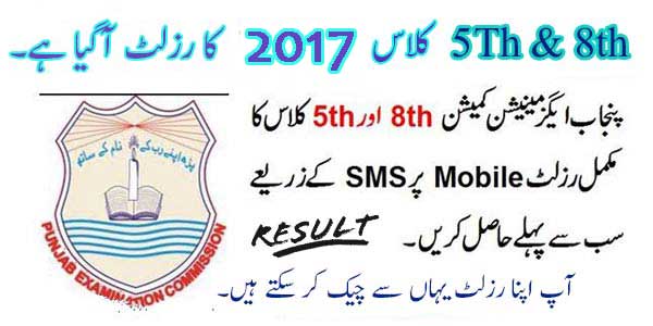 5th-8th-class-result-2017