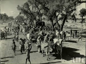 great migration of 1947 independence of pakistan photos