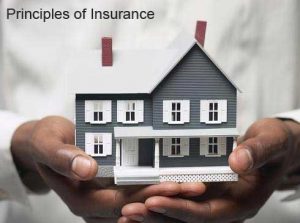 six-principles-of-Insurance