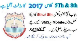 5th-8th-class-result-2017