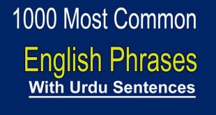 common-english-speaking-sentences