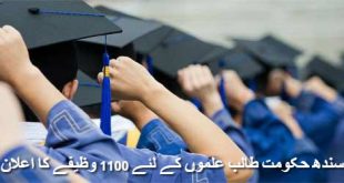 sindh-scholarships-1100