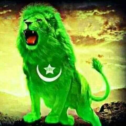 pakistan lion dp for independence day